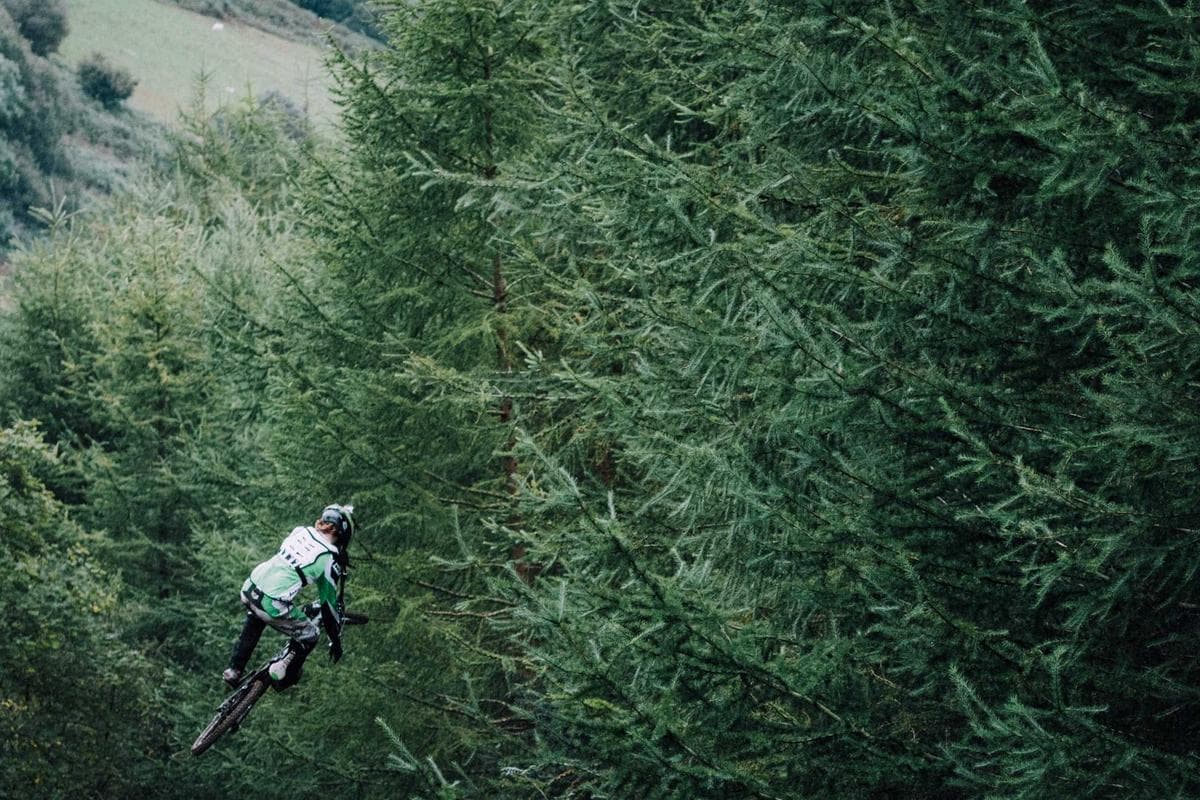 Vista İnşaat proje yönetimi hizmetleri